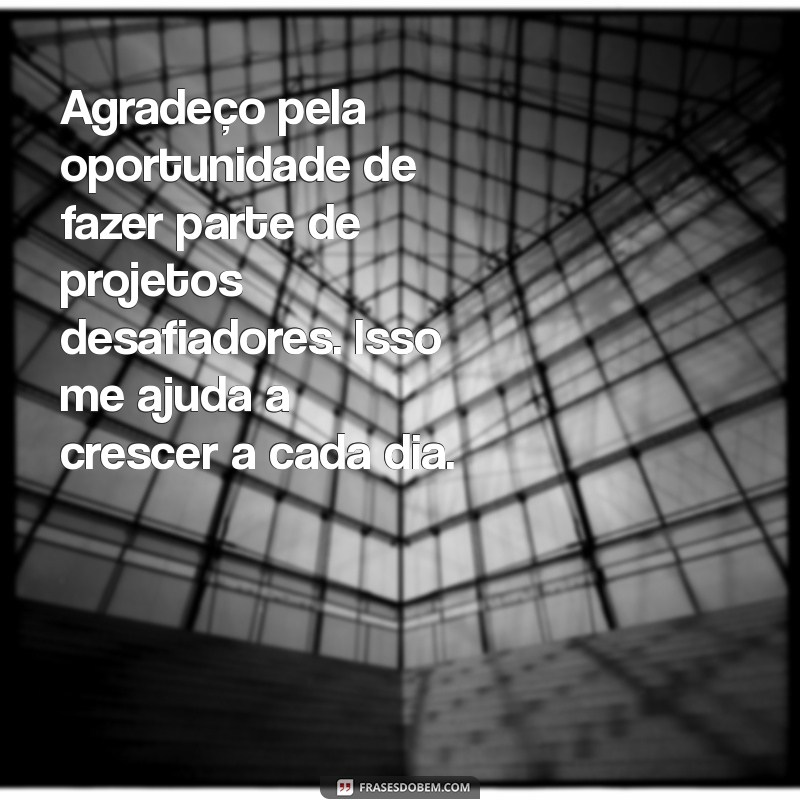 10 Mensagens de Agradecimento para Encantar Seu Chefe 