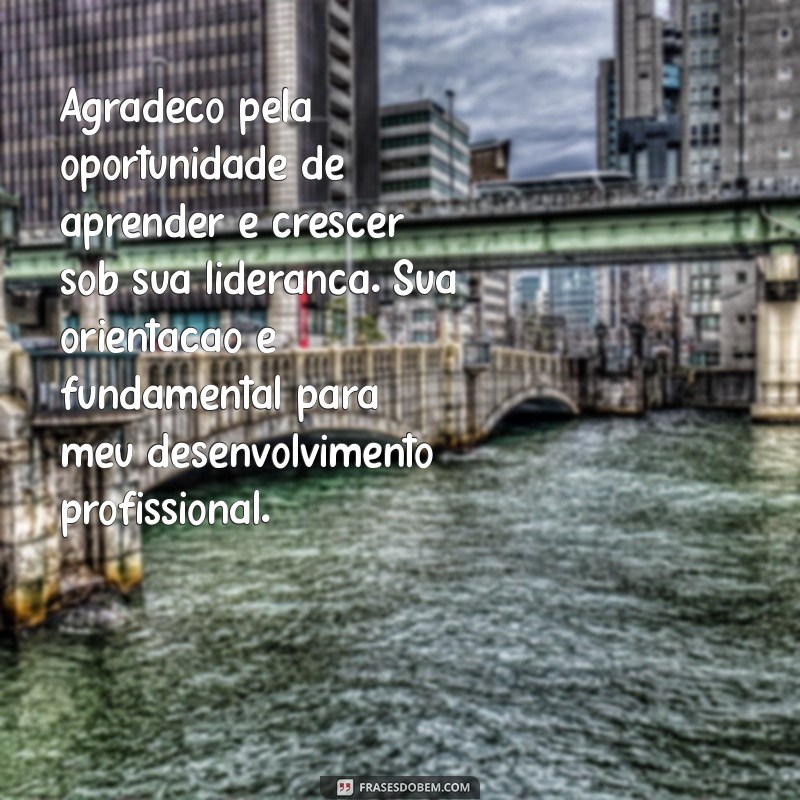 mensagem de agradecimento para chefe Agradeço pela oportunidade de aprender e crescer sob sua liderança. Sua orientação é fundamental para meu desenvolvimento profissional.