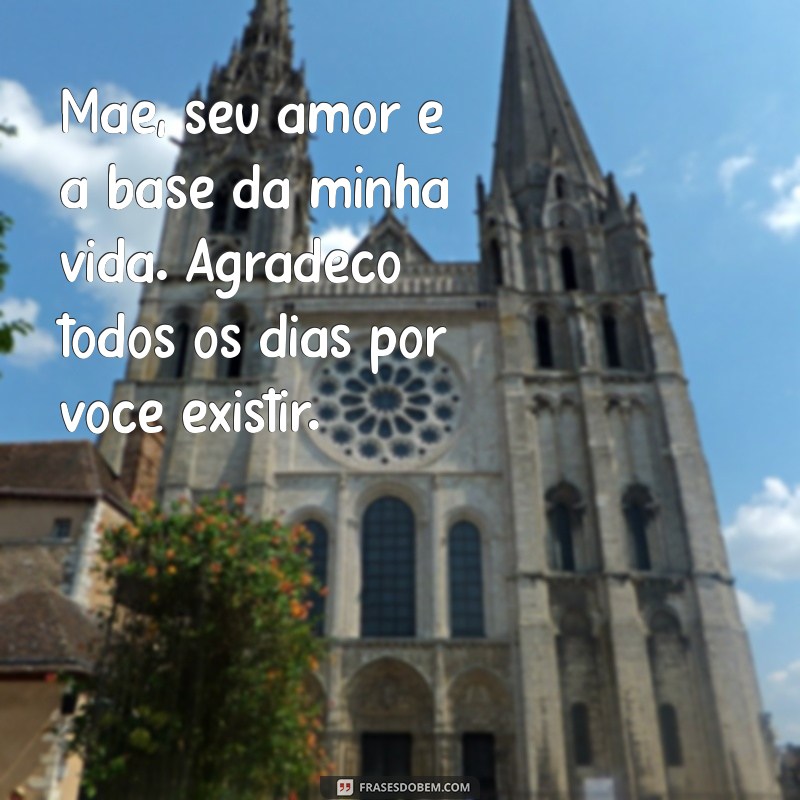 mensagem para uma mãe Mãe, seu amor é a base da minha vida. Agradeço todos os dias por você existir.