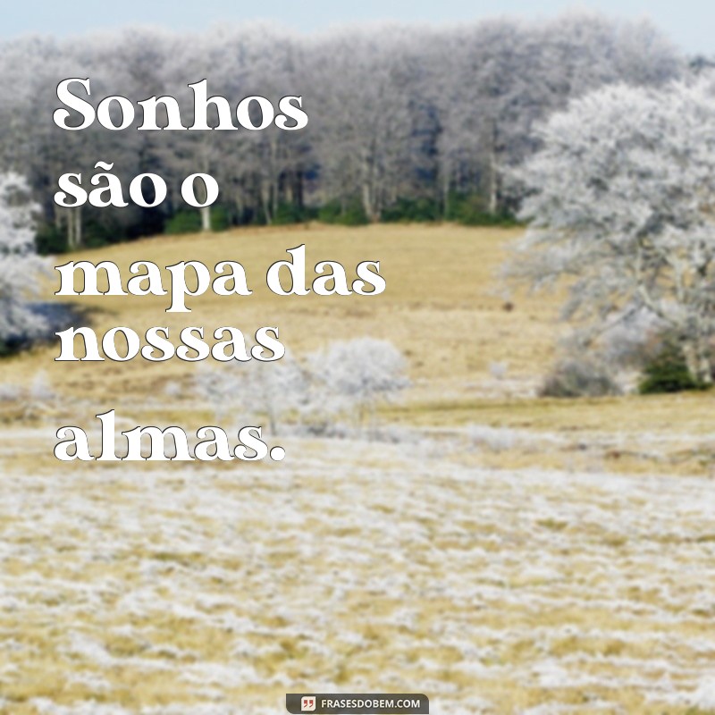 sonhadora frases curtas Sonhos são o mapa das nossas almas.