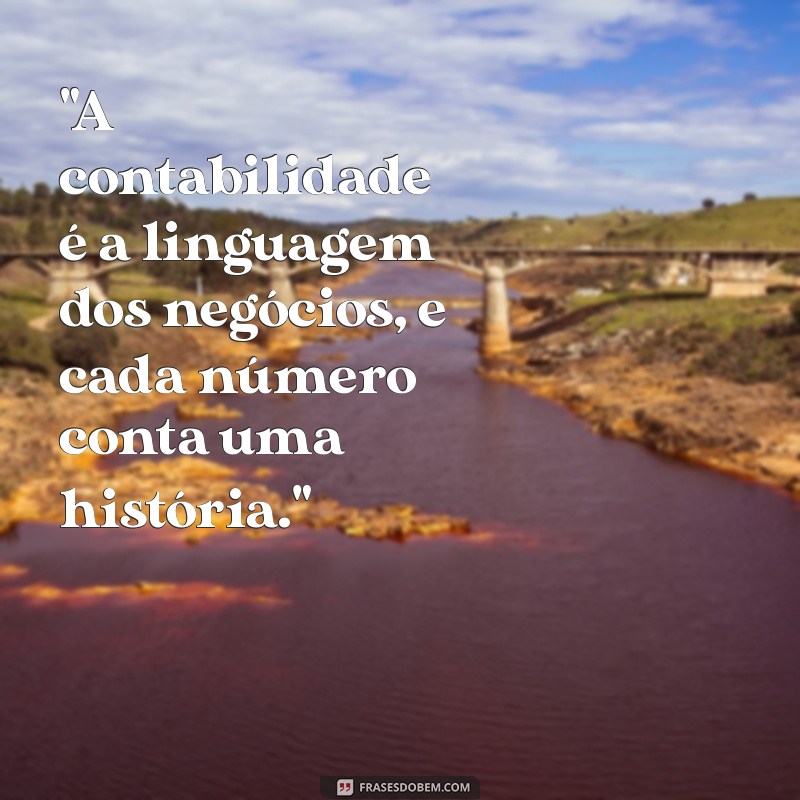 contabilidade frases 