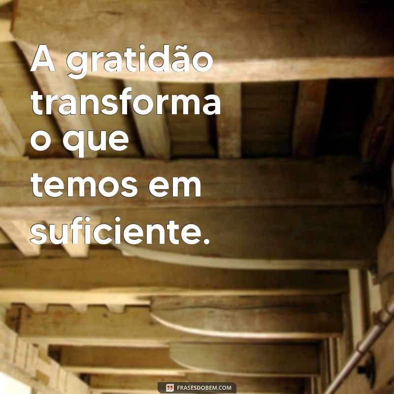 ensinamentos da vida A gratidão transforma o que temos em suficiente.