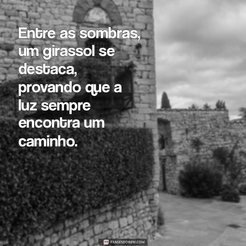 Como Capturar a Beleza dos Girassóis: Dicas e Inspirações para Suas Fotos 