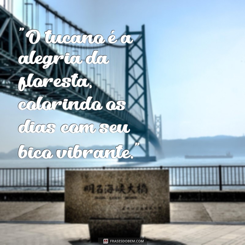 frases com tucano 