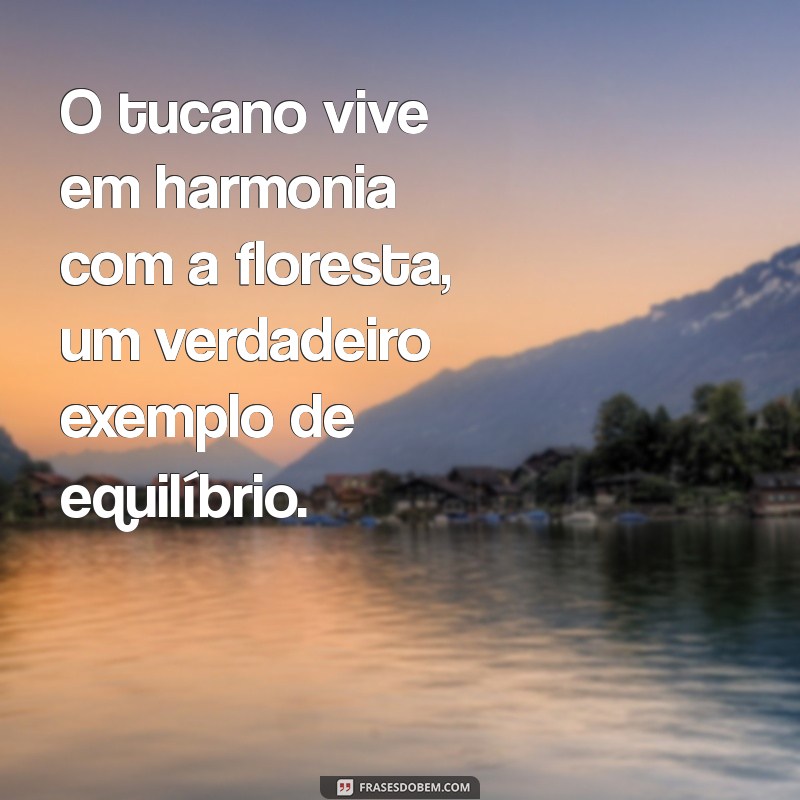 Descubra 129 Frases Inspiradoras com Tucano: Beleza e Sabedoria da Natureza 