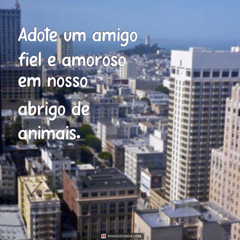 Descubra as melhores frases de outdoor para inspirar sua criatividade 