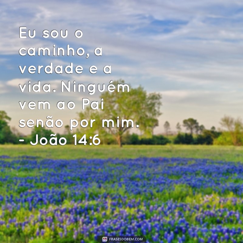 Conheça as melhores frases de Jesus que vão inspirar sua vida 