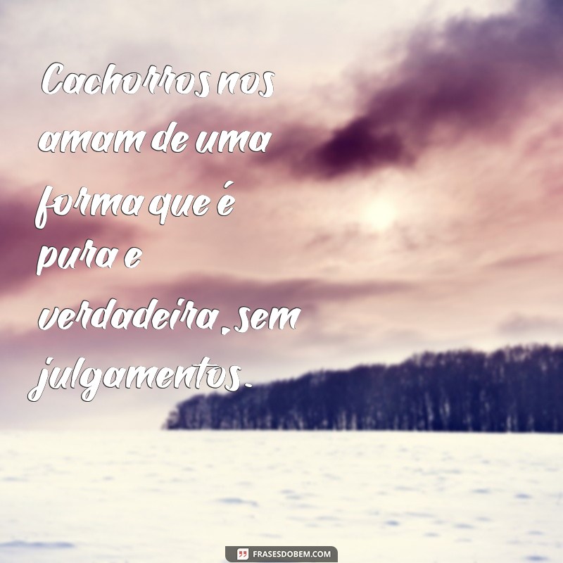 Frases Apaixonantes para Celebrar o Amor pelo Seu Cachorro 