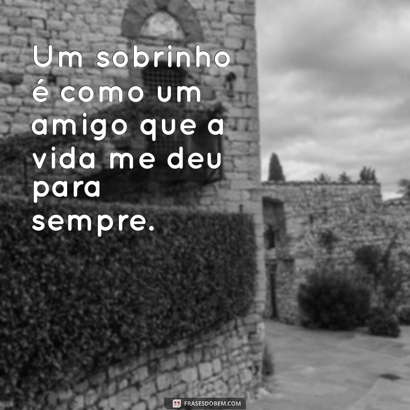 50 Frases Criativas para Fotos com Sobrinho no Tumblr 