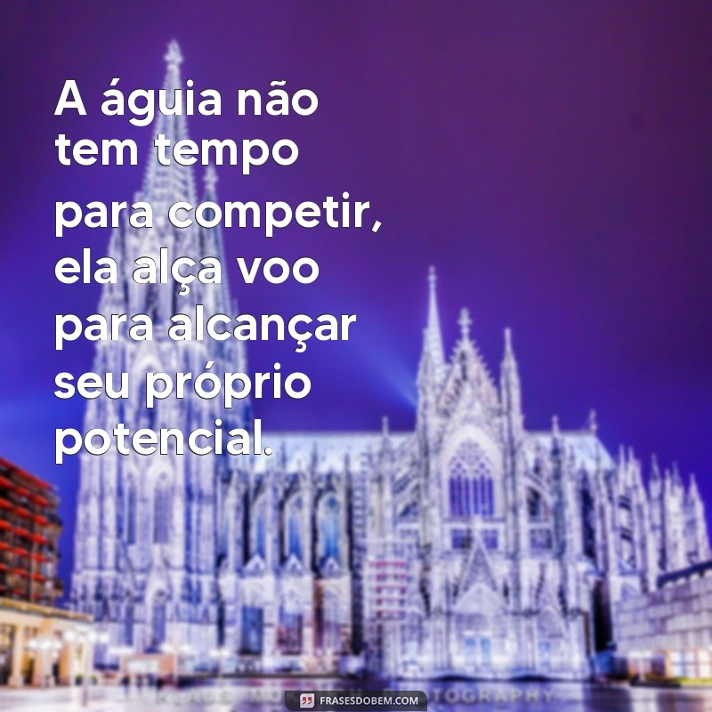 Descubra as melhores frases de águia para inspirar seu status 