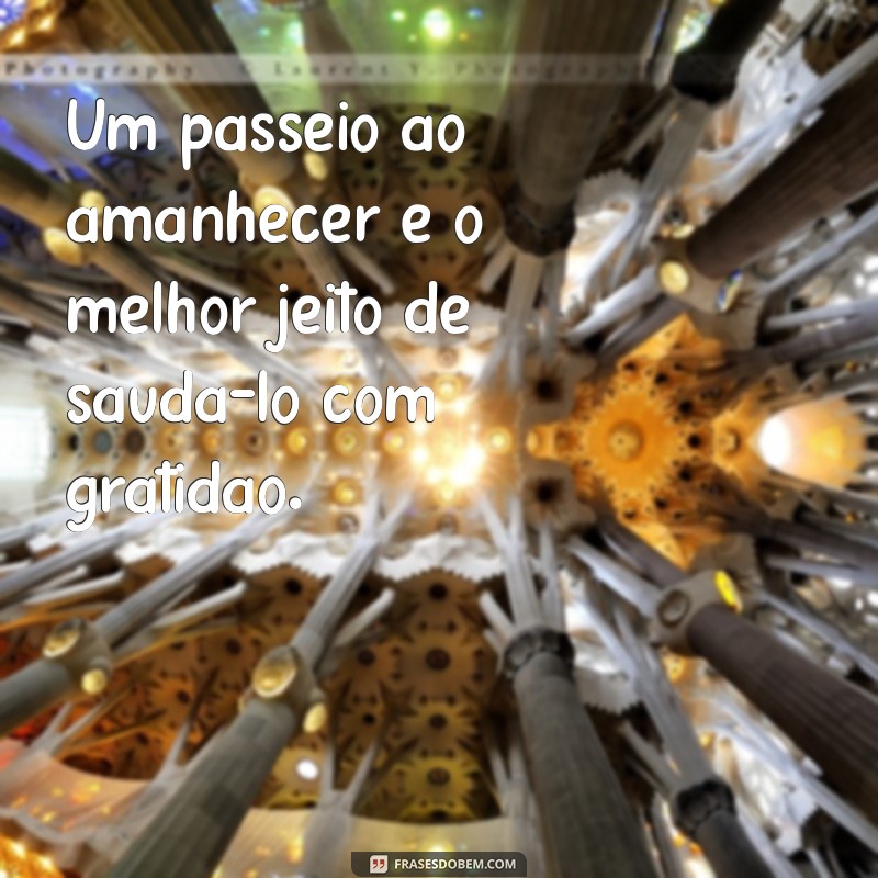 Frases Inspiradoras para Transformar Seus Passeios em Momentos Inesquecíveis 