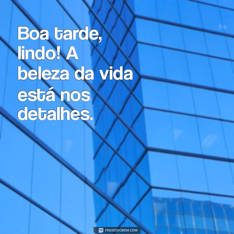 Frases Encantadoras para Desejar uma Boa Tarde Lindo 