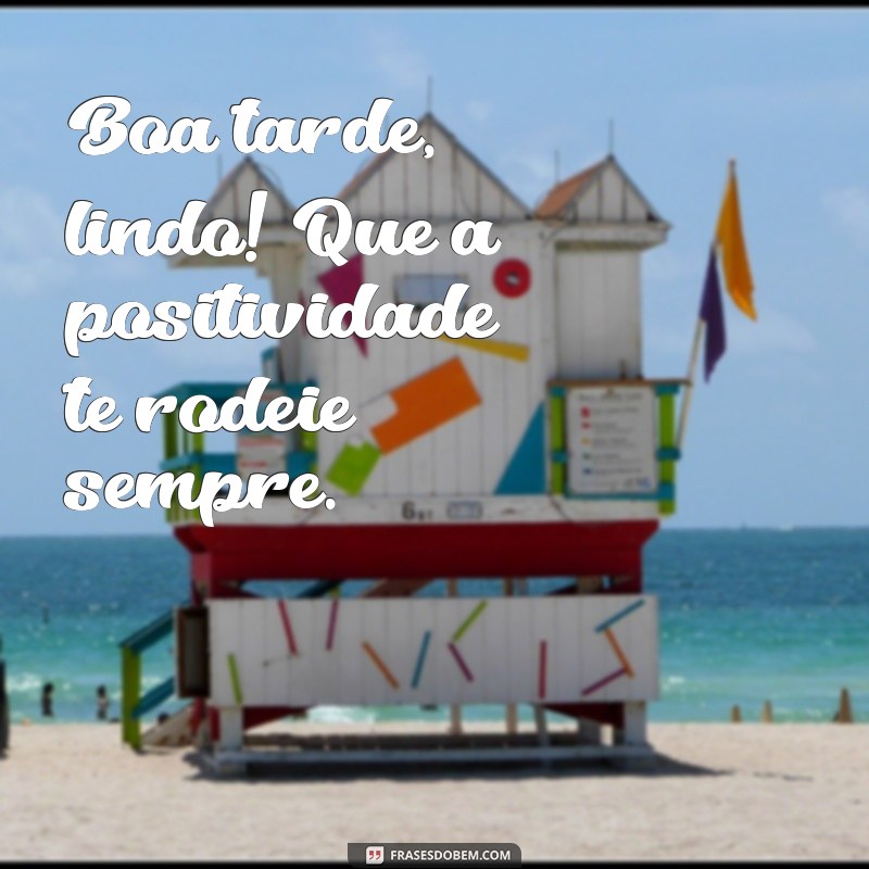 Frases Encantadoras para Desejar uma Boa Tarde Lindo 