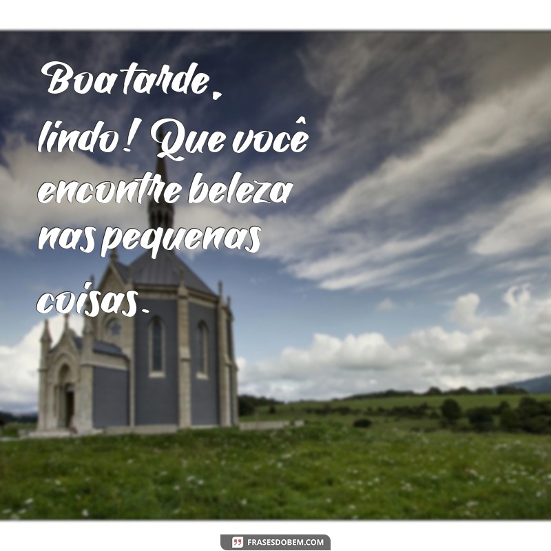 Frases Encantadoras para Desejar uma Boa Tarde Lindo 