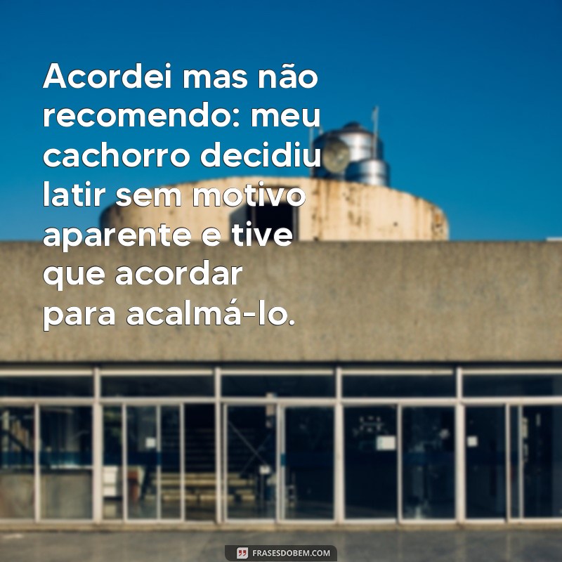 Descubra as melhores frases para acordar, mas cuidado: não recomendamos todas! 