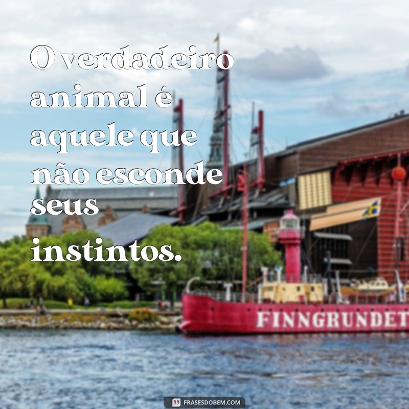 frases o verdadeiro animal O verdadeiro animal é aquele que não esconde seus instintos.