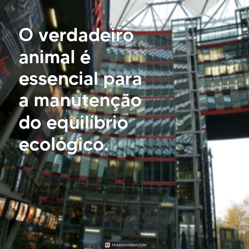 Descubra as melhores frases sobre a essência animal e sua verdadeira natureza 