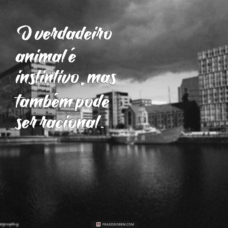 Descubra as melhores frases sobre a essência animal e sua verdadeira natureza 