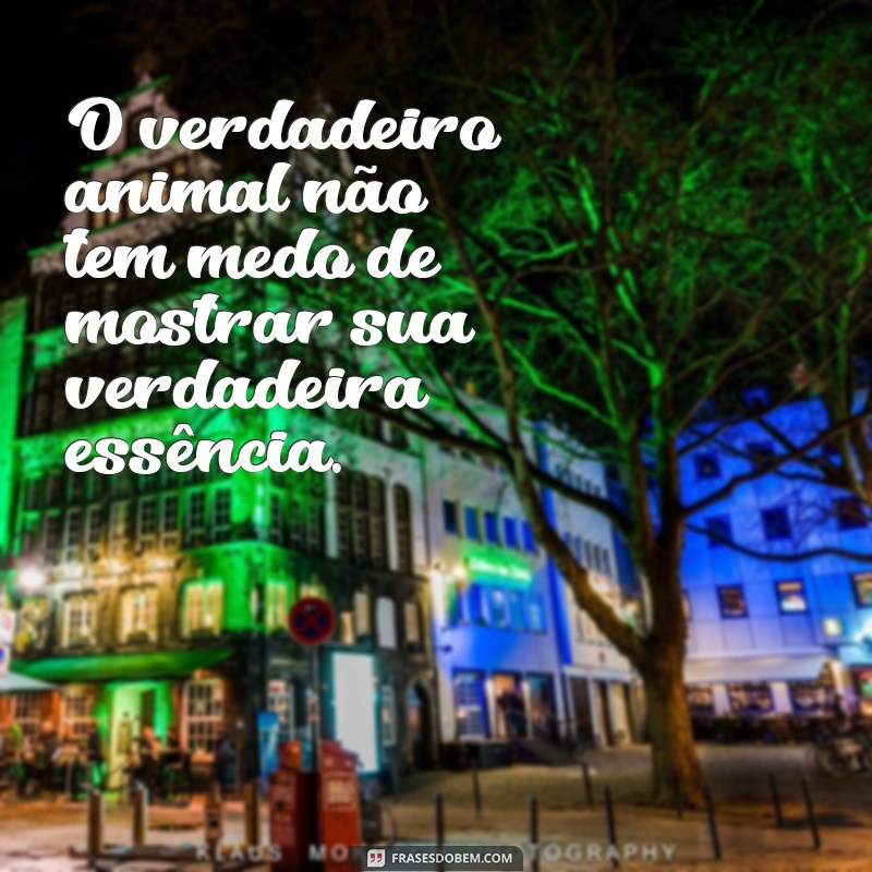 Descubra as melhores frases sobre a essência animal e sua verdadeira natureza 