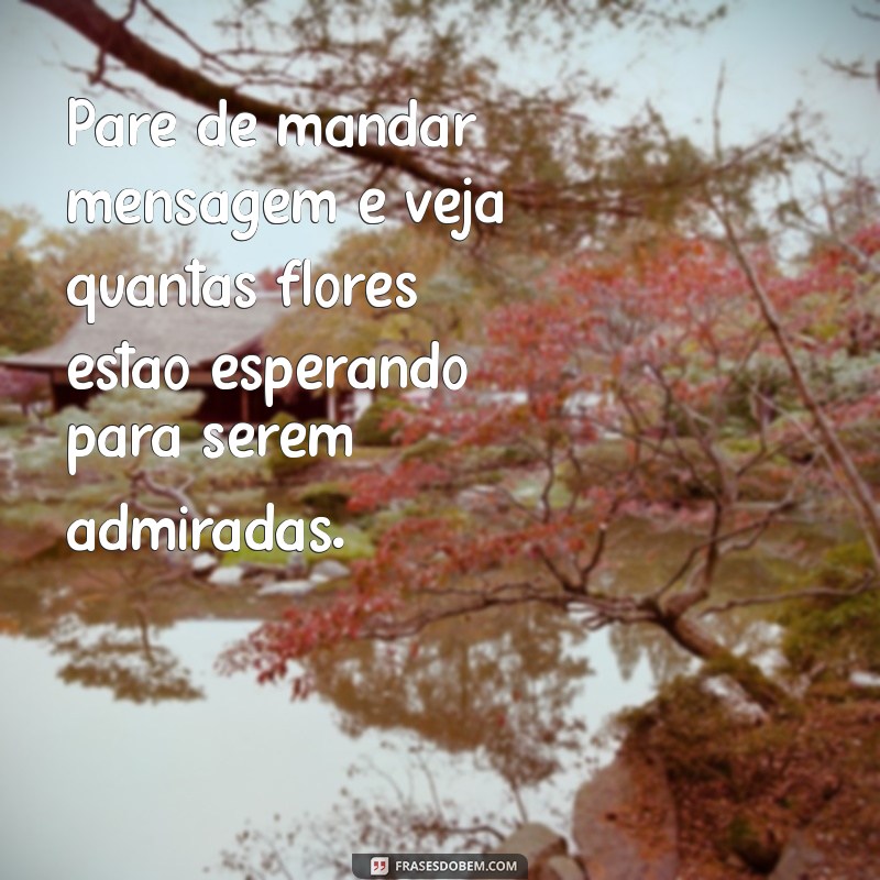 pare de mandar mensagem e veja quantas plantas Pare de mandar mensagem e veja quantas flores estão esperando para serem admiradas.