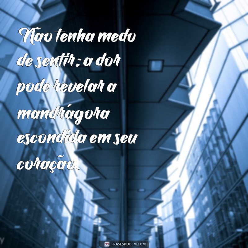 Descubra as Melhores Frases Mandrakes para Inspirar e Motivar 