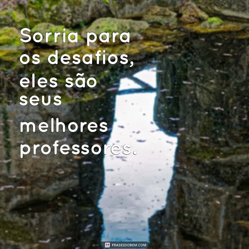 As Melhores Frases de Motivação para Status: Inspire-se e Compartilhe 