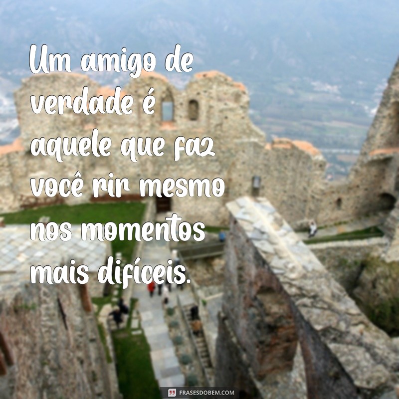 Descubra o Verdadeiro Significado de O Melhor Amigo: Laços, Lealdade e Amor Incondicional 