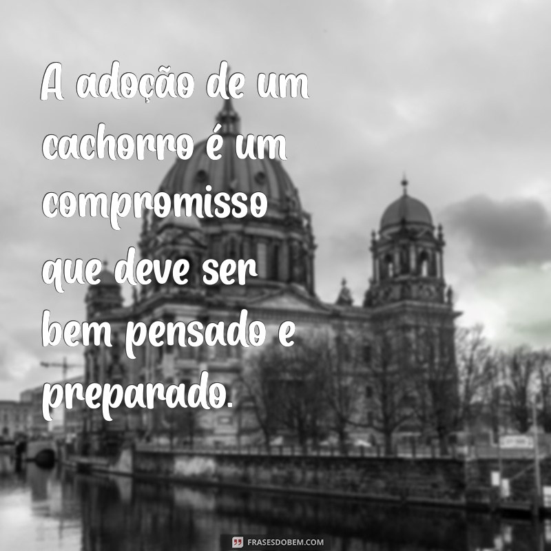 Guia Completo sobre Cachorros: Cuidados, Raças e Dicas Essenciais 