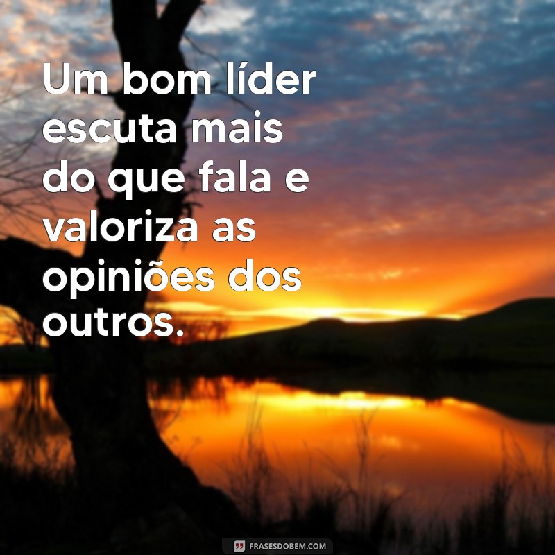 Frases Inspiradoras para um Bom Líder: Dicas para Motivar sua Equipe 