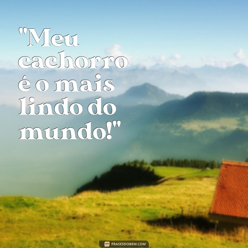 frases cachorro mais lindo do mundo 