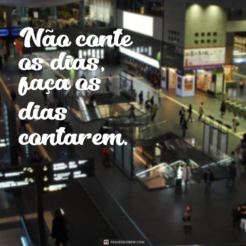 As Melhores Frases Impactantes para Status que Vão Impressionar Seus Amigos 