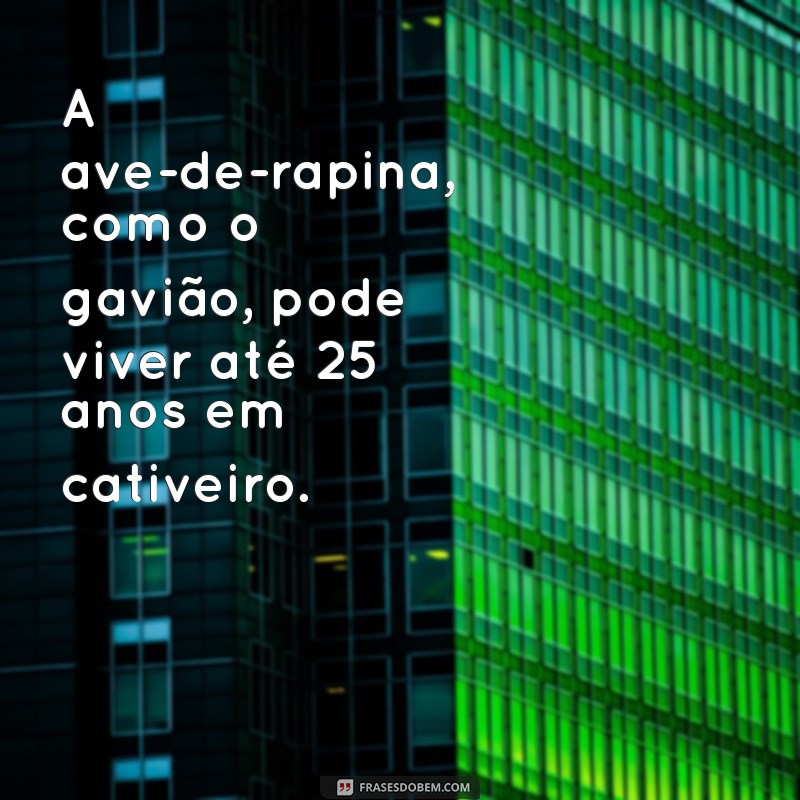 Descubra Qual É a Ave que Vive Mais Tempo: Curiosidades e Fatos Incríveis 