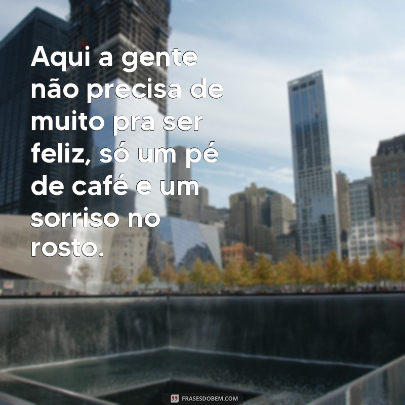 28 Frases Caipiras que Encantam e Representam a Sabedoria do Interior 