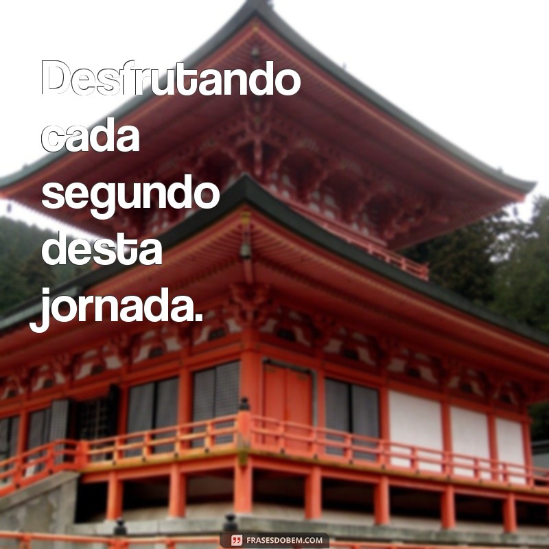 Frases Criativas para Legendar Suas Fotos: Inspire-se! 