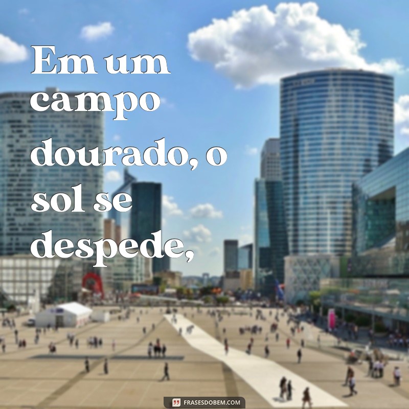 poema de van gogh Em um campo dourado, o sol se despede,