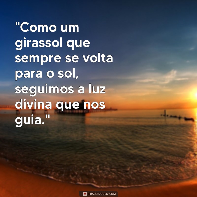 frases de girassol e deus 