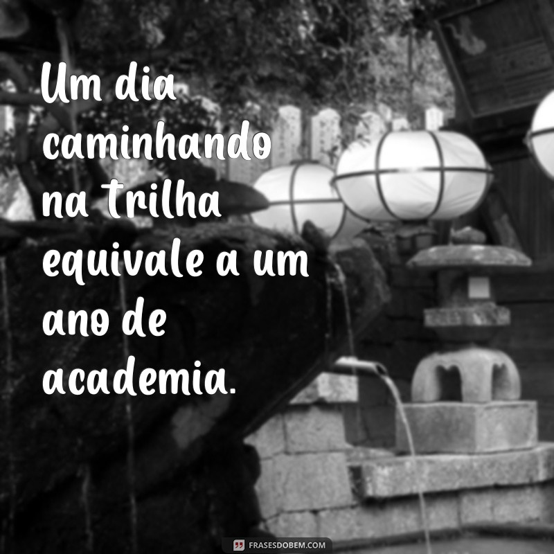 Descubra as melhores frases de trilheiros para inspirar sua próxima aventura 