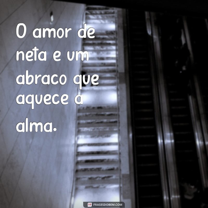 amor de neta O amor de neta é um abraço que aquece a alma.