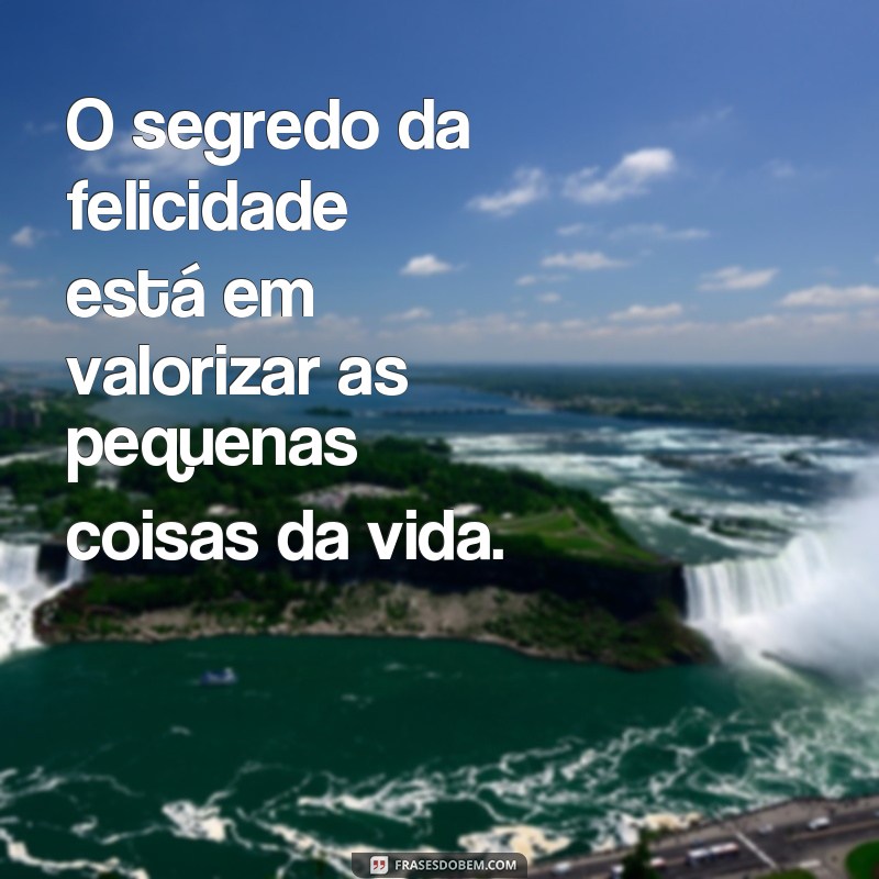 Descubra as melhores frases inspiradoras do Vendedor de Sonhos 