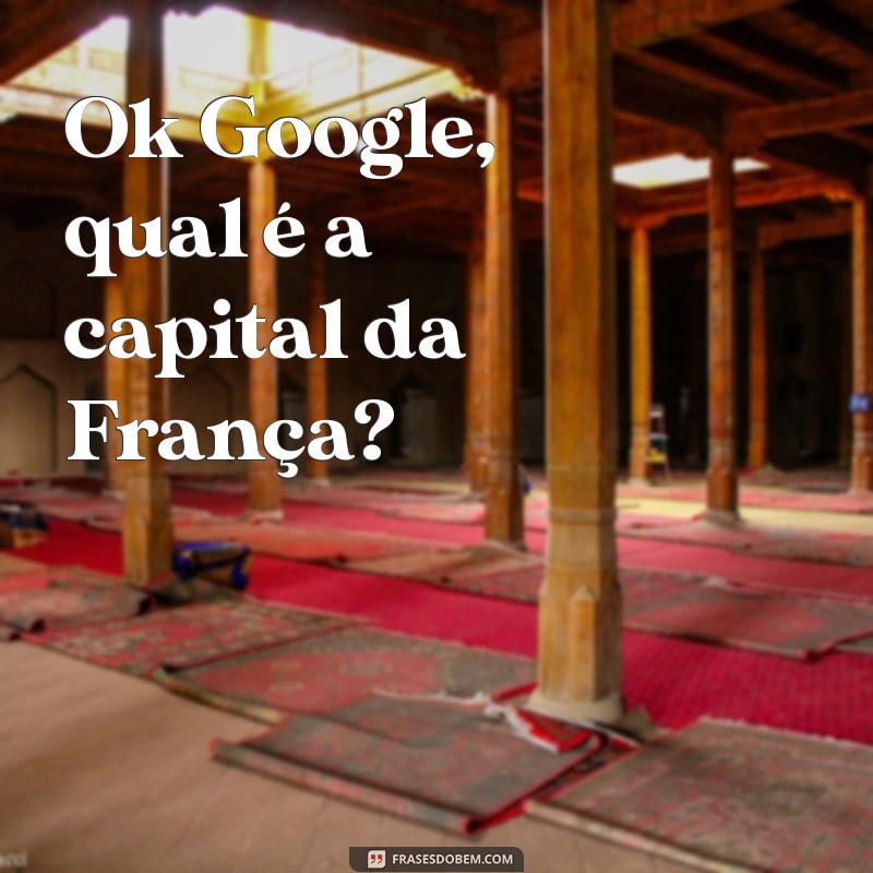 ok google frases Ok Google, qual é a capital da França?