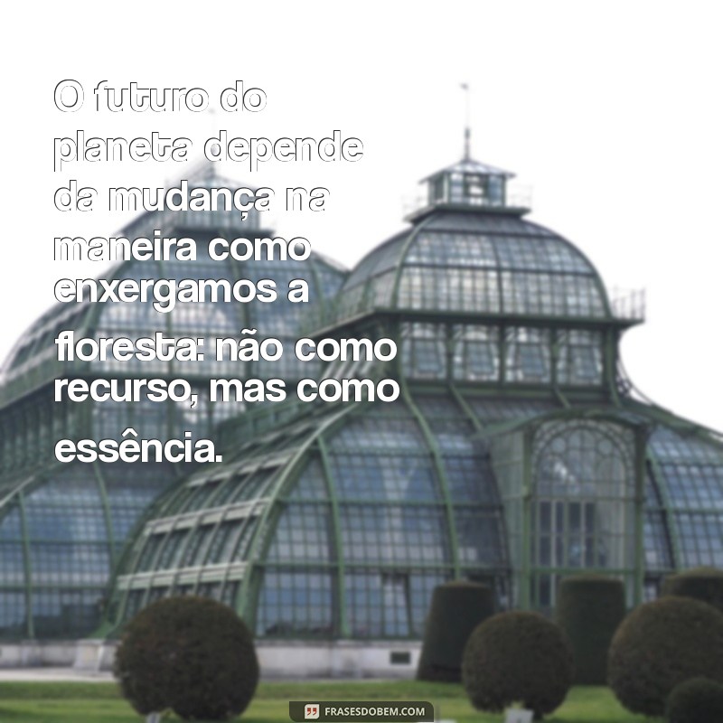 Frases Impactantes sobre Desmatamento: Conscientização e Reflexão 