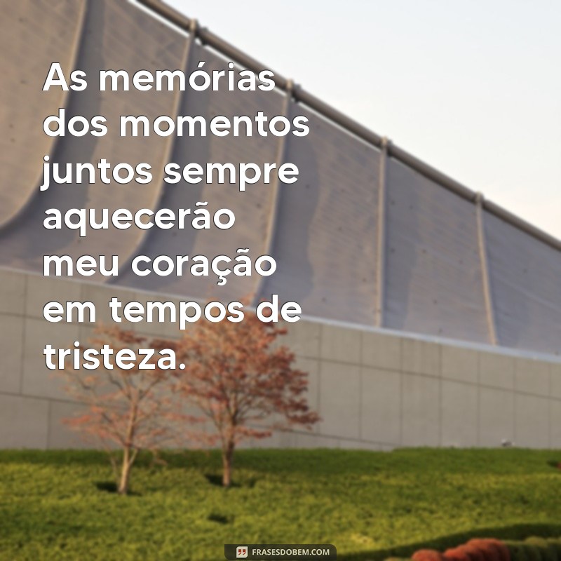 Frases Confortantes para Lidar com a Perda de um Pet: Mensagens de Luto e Esperança 