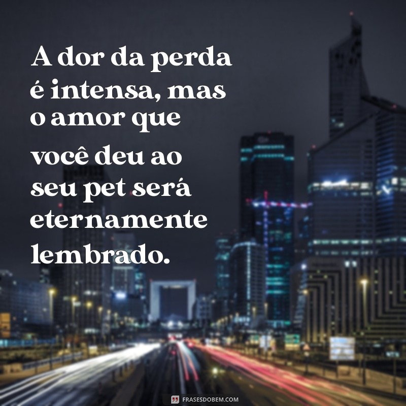 luto pet frases A dor da perda é intensa, mas o amor que você deu ao seu pet será eternamente lembrado.