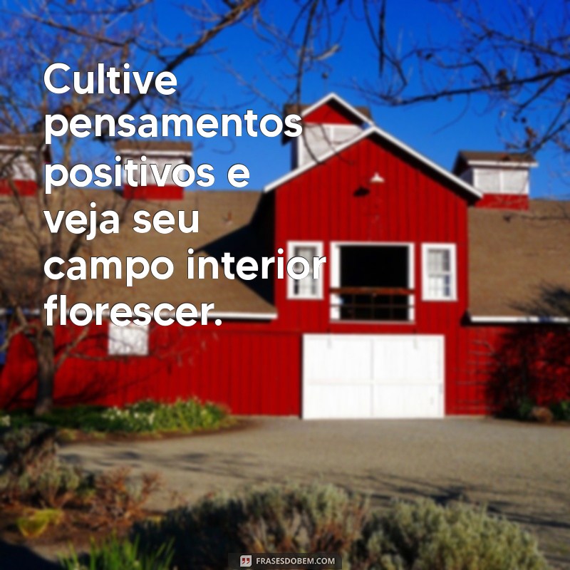 Frases Inspiradoras sobre o Campo: Conecte-se com a Natureza 