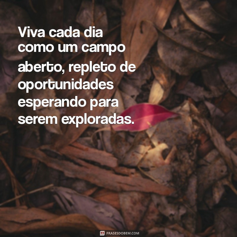 Frases Inspiradoras sobre o Campo: Conecte-se com a Natureza 