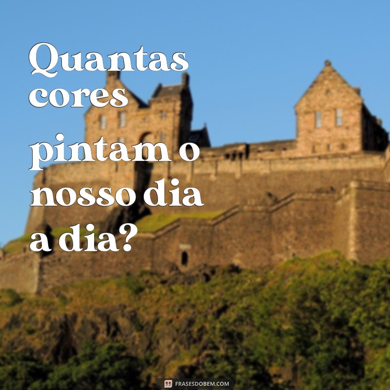 Quantos Anis Você Deve Usar? Dicas e Medidas para o Tempo Perfeito 