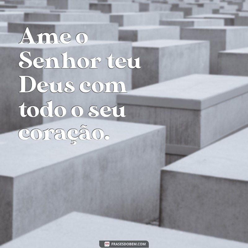 ame o senhor teu deus Ame o Senhor teu Deus com todo o seu coração.