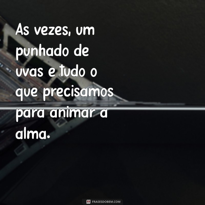 As Melhores Frases com Uva para Inspirar e Refletir 