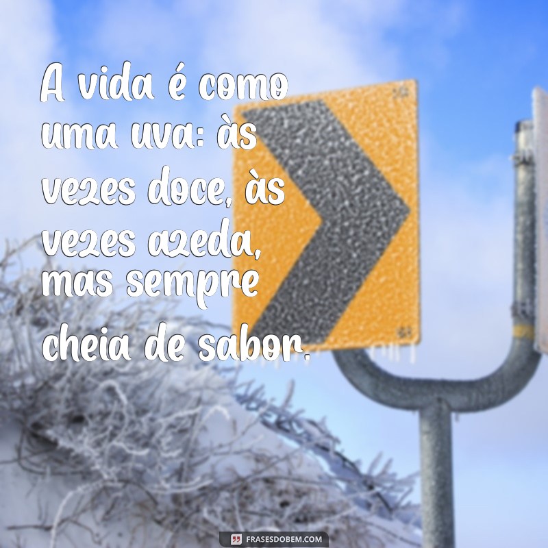 frases com uva A vida é como uma uva: às vezes doce, às vezes azeda, mas sempre cheia de sabor.