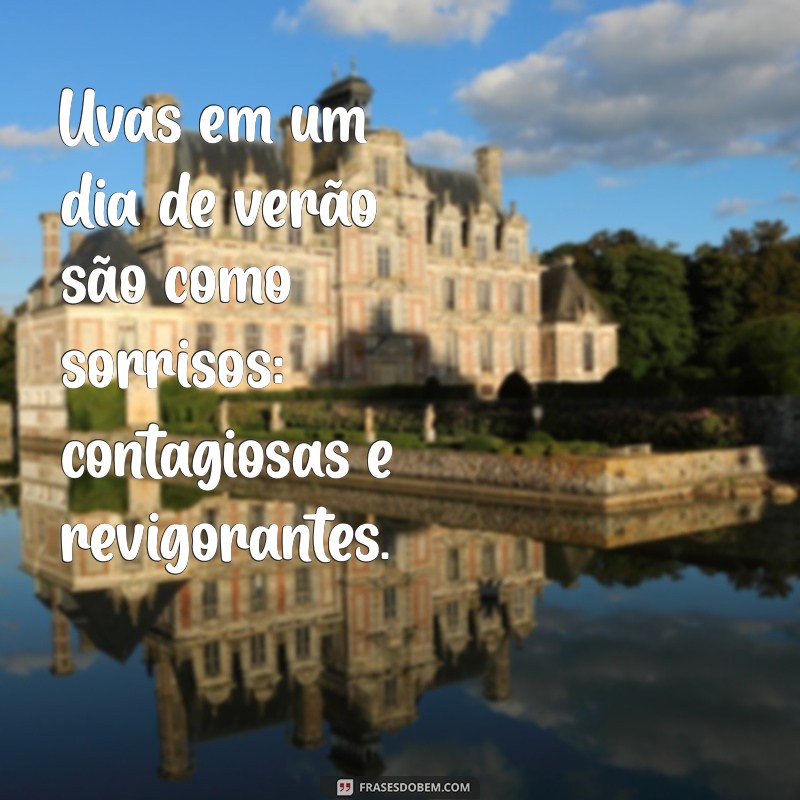 As Melhores Frases com Uva para Inspirar e Refletir 